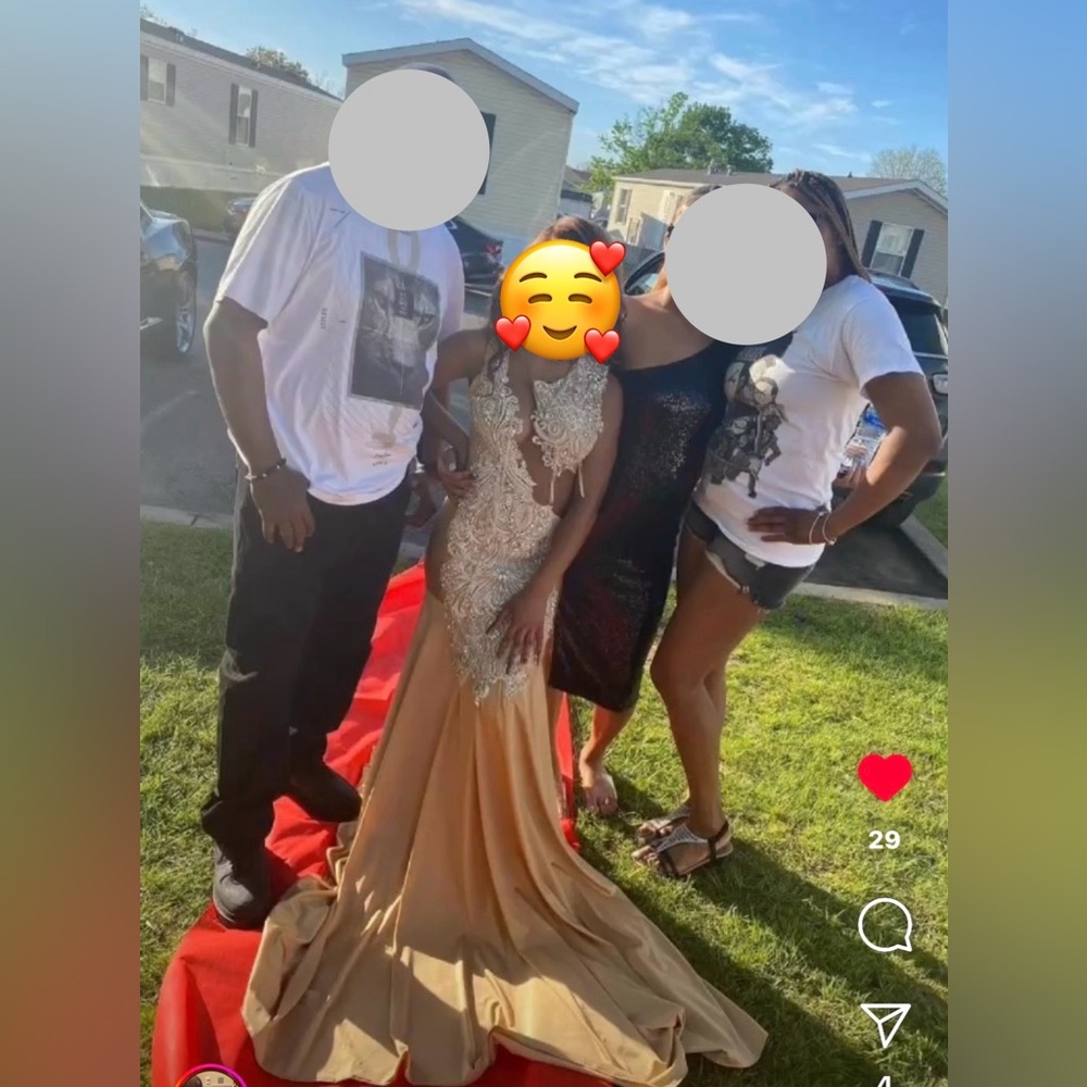 Beautiful Custom Made Evening Gown - image 8